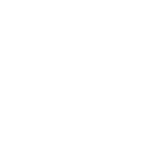 AVIANTO.png