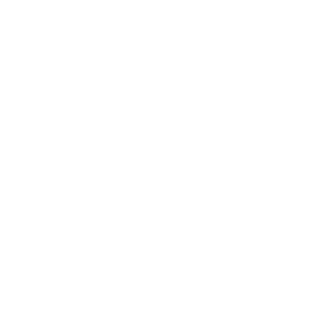 BLACK-EAGLE.png