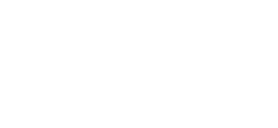 BOEHRINGER-INGHEIM.png