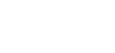 BRAUN.png
