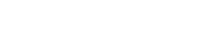EXECUJET.png