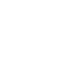 LACE-ON-TIMBER.png