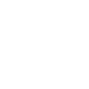 MINAS.png