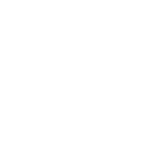SEDIBA.png